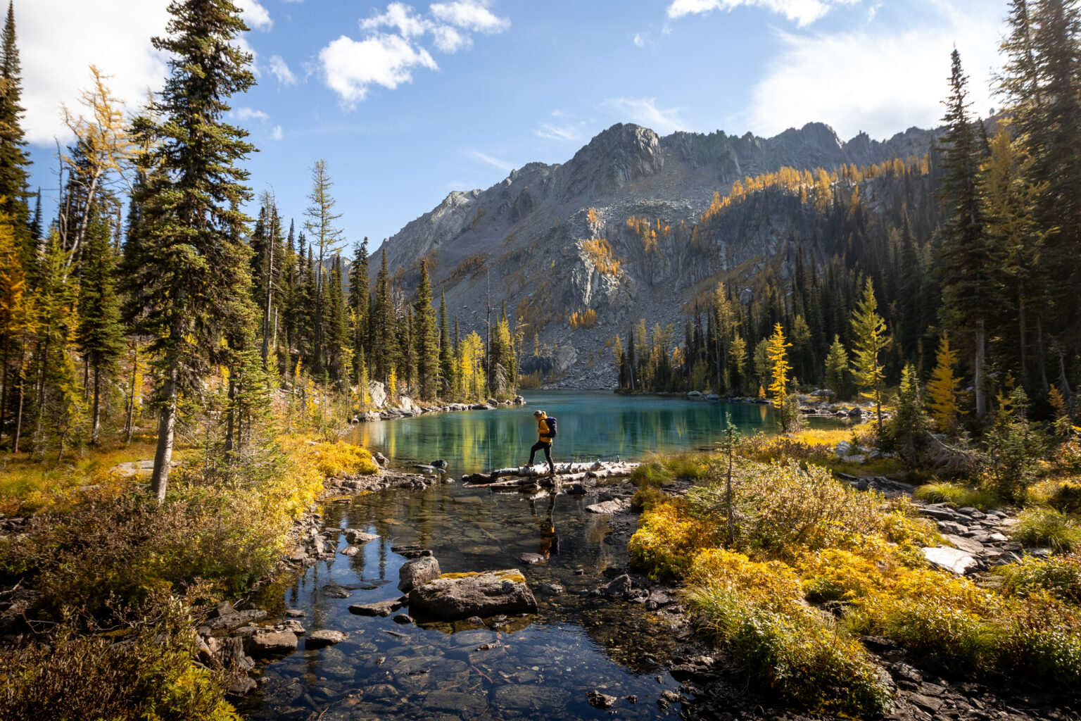 Tanglefoot Lake